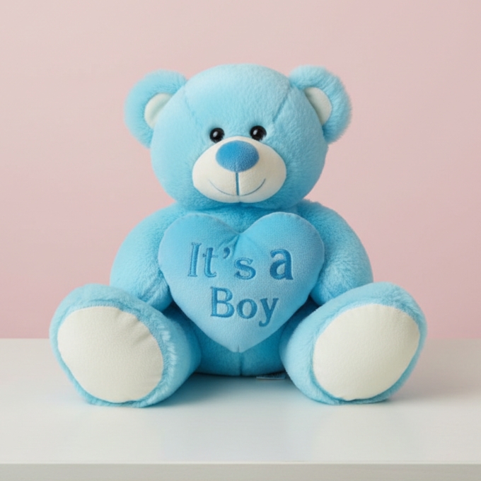 It's a Boy Teddy