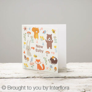 New Baby Greetings Card