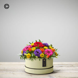 Bright Hatbox