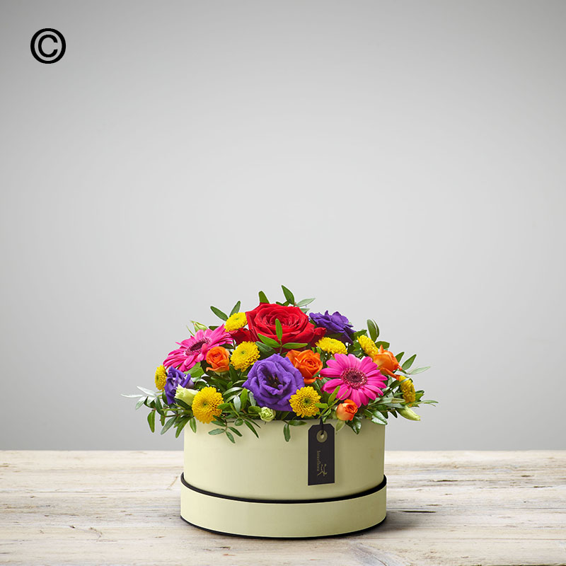 Bright Hatbox
