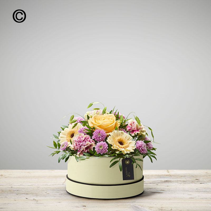 Pastel Hatbox